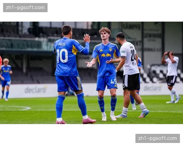 英超升班马生存状况评估 利兹联伯恩利桑德兰陷保级苦战